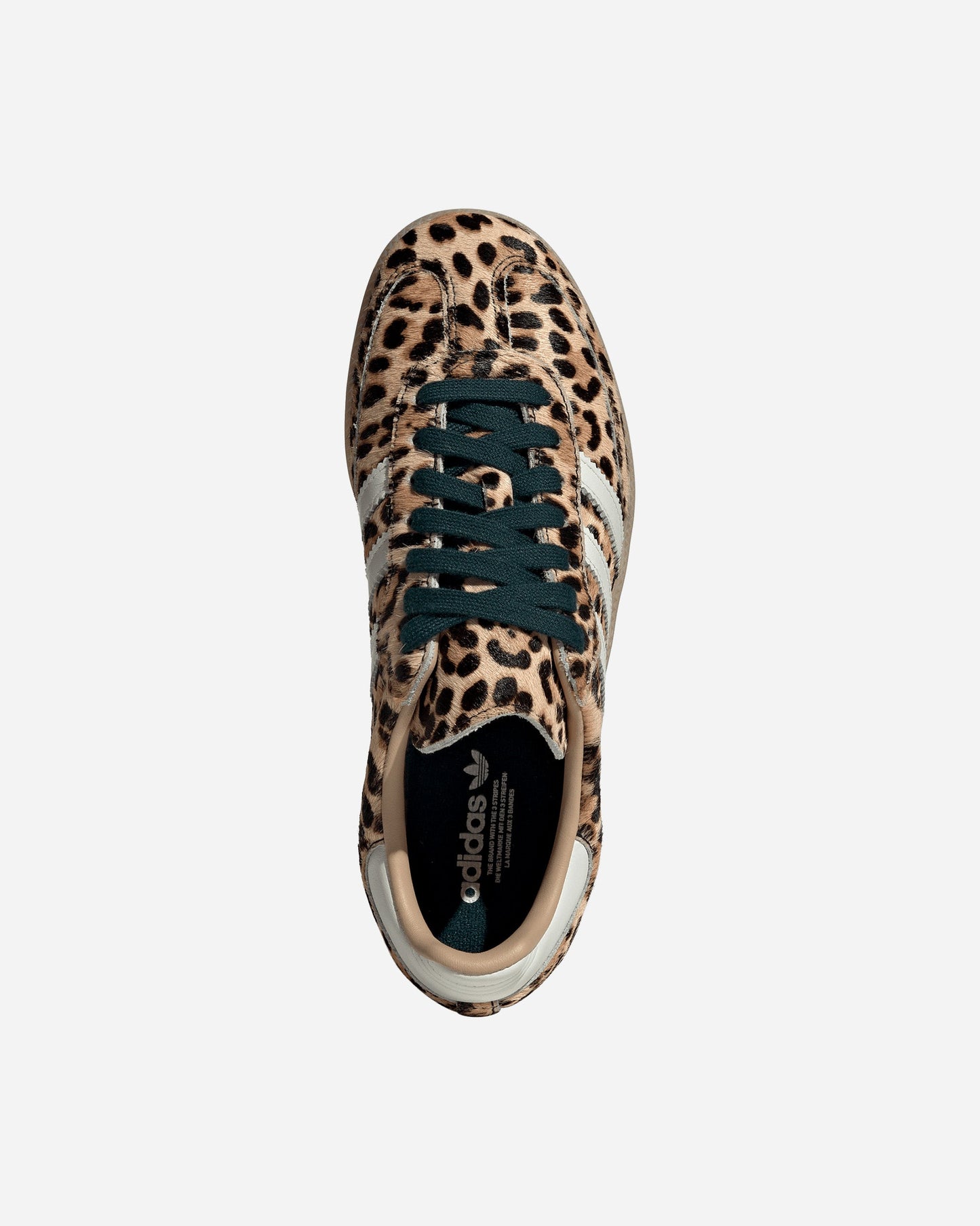 Samba OG